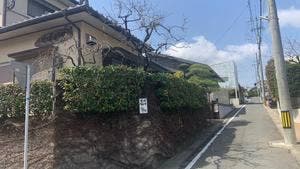 そば好日