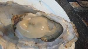 みるくがき 豊久丸