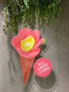 ALL GOOD STORE