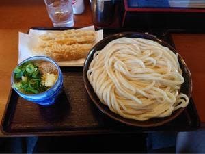 さぬきうどんのたぬき