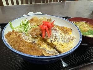 入藤