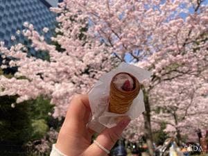 ベイクルーズストア 仙台 BOUL'ANGE