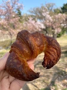 コンセントマーケット