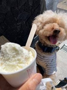 HOLIDAY ICE CREAM STORE