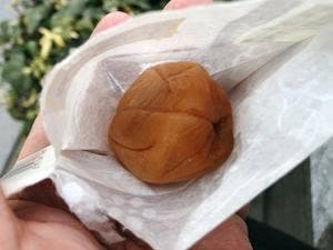 わかやま紀州館