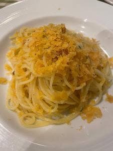 等々力アルベラータ