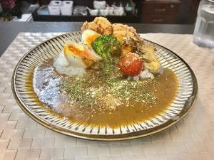 TOYOnoTORI Spice Curry
