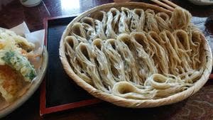 つゆ下 梅の花 筑縄店
