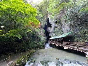 秋芳洞入口前売店