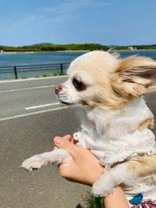 アンテナショップ 正助ふるさと村 道の駅むなかた