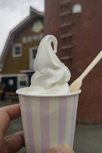 八紘学園 農産物直売所