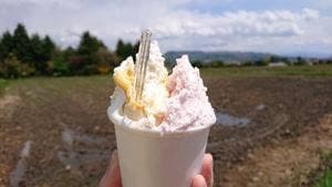 ジェラートショップ花彩
