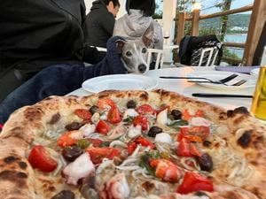 TRATTORIA PIZZERIA 207