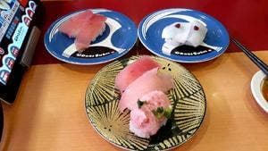 おどり寿し 大津店