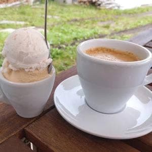 ピザ フレンチブルドック