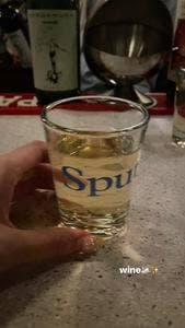 スプートニク