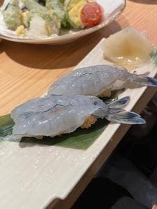 魚馬る ふぶき