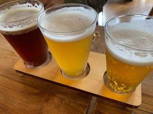 ハーベステラス ふじやまビール