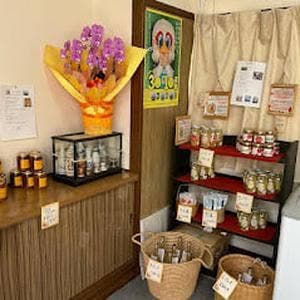 町の店おほり