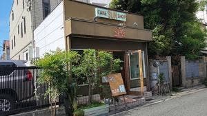 サン