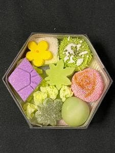 亀末廣
