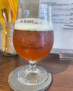 Craftbeer Sloth House