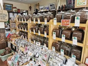 北鎌倉ベルタイム珈琲