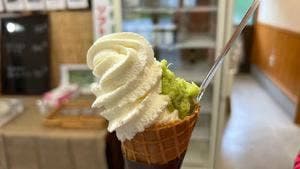 独鈷沢わさび園