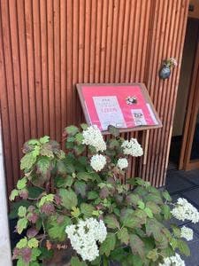 マル