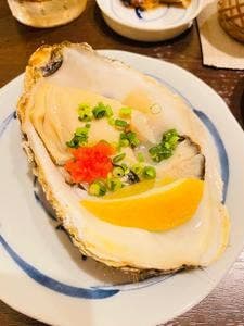 魚とな