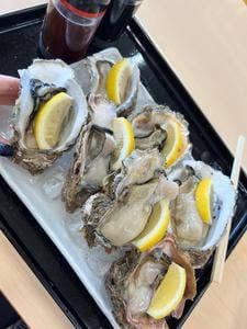 金沢港いきいき魚市