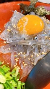 どろめ 熱海駅前店