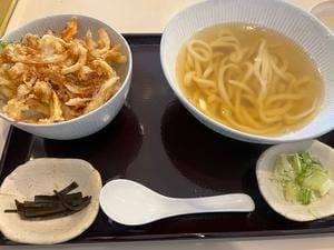 讃岐うどん 十四明