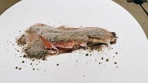 SHIROIYA the PÂTISSERIE