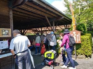 可睡ゆりの園