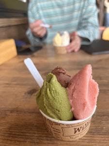 ウィリアムズ ジェラート