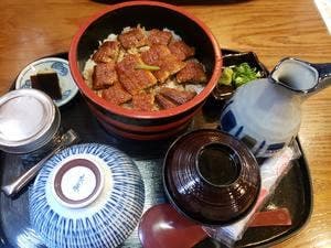 本家柴藤