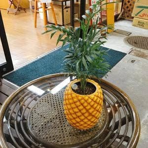 フルーツ専門店 銀コップ