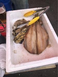 道産魚工房 貝天国