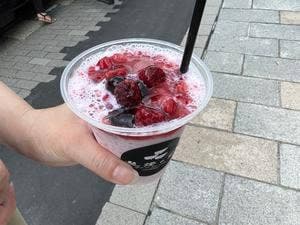 龍燈の松