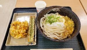 はなまるうどん ホームズ仙川店