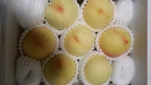 JUICE BAR momo 近鉄百貨店 和歌山店