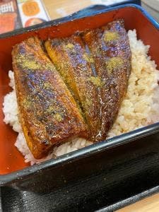 吉野家 松山枝松店