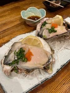 大衆魚酒場 魚の舞