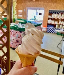 農産物直売所ベジっこ ファームキトラ