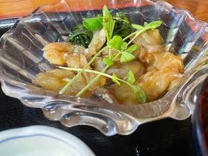 お食事処 おともだち