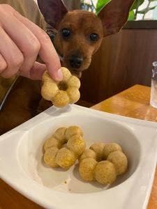 ポプズ