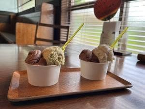 オーガニックジェラート GELATO NATURALE