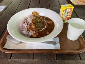 養命酒 健康の森