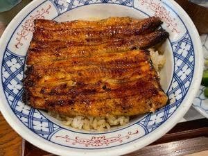 花遊小路 江戸川